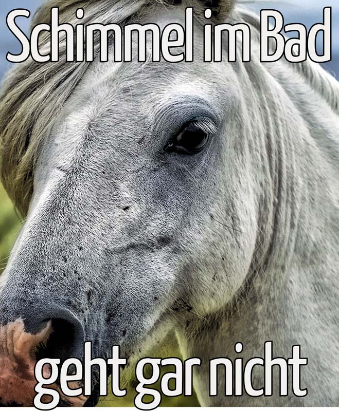 Schimmel im Bad geht gar nicht